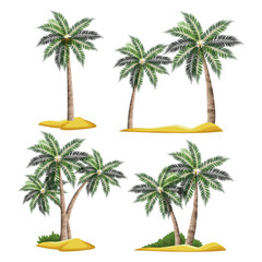 beach tree palms icon vector illustration graphic design