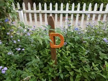 The Letter D On A Wood Post In A Garden