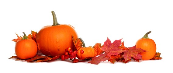 Poster - Autumn border of pumpkins and red fall leaves isolated on a white background