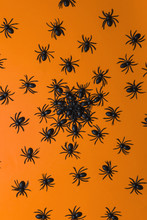 Small Black Spiders On Orange Background/miniature.