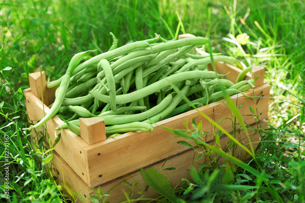 Wooden crate with raw fresh organic green beans on grass