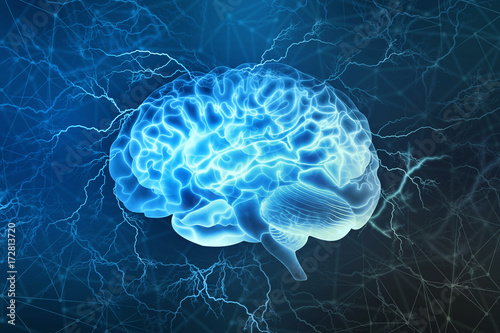Cuadros en Lienzo Human brain digital illustration