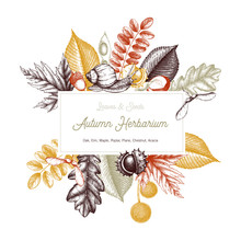 Vintage Card Design With Bird. Hand Drawn Leaves And Seeds Illustration. Vector Autumn Template. Wedding Invitation. 