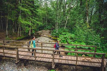 Wall Mural - Mother and daughter hiking in forest