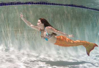 Wall Mural - A mermaid with and orange tail underwater.