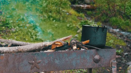 Wall Mural - The shish kebab is cooked on the grill in the forest. Appetizing shish kebab from beef is cooked on coals. Barbecue on skewers on top of charcoal grill.