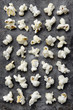 © James Ross Photography/Stocksy - Pieces of popcorn