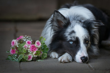 Canvas Print - Hund mit Blumenstrauß