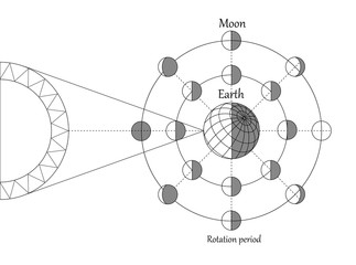 Wall Mural - sciense moon phases scheme, vector background