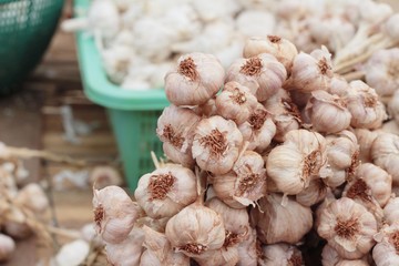 garlic in the market