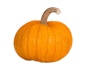 Wall Mural - Organic Sugar Pie Pumpkin, an ideal pumpkin for holiday baking and cooking. Isolated on white background. 