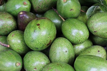 Wall Mural - Fresh green avocado is delicious in market