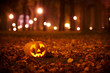 Kind Halloween Pumpkin in the park