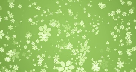 Wall Mural - animation - modern rotation falling flowers