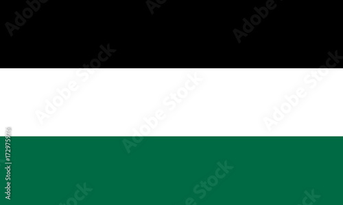 Spannende Schwarz Weiss Grn Flagge Bedeutung Bilder