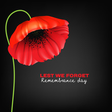 Remembrance Day Greeting Card. Beautiful. Realistic Red Poppy Flower On Black Background With Lettering