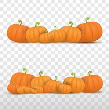 Autumn Vector Orange Pumpkins Border Design Template For Banners And Thanksgiving Day Backgrounds.