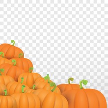 Autumn Vector Orange Pumpkins Border Design Template For Banners And Thanksgiving Day Backgrounds.