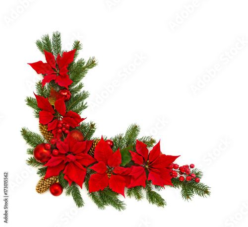 Christmas Decoration Frame Of Flower Of Red Poinsettia Branch