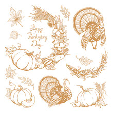 Set Of Hand-drawn Elements For Thanksgiving Day. Vegetables, Turkey, Leaves
