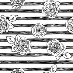 Wall Mural - vector black white contour simple illustration of rose flowers pattern with striped background