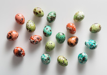 Colored Quail Eggs For Easter On White