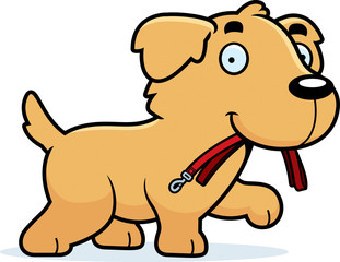 Sticker - Cartoon Golden Retriever Leash