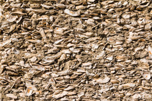 Texture Of Wall Made Up Of Seashells With Cement