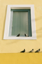 Colonial Yellow House With Pigeons On It