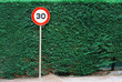 Speed limit sign with green leaf background