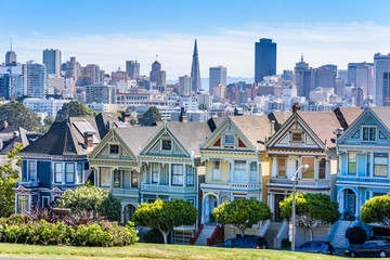 Beautiful view of Painted Ladies, colorful Victorian houses located near scenic Alamo Square in a row, on a summer day with blue sky, San Francisco, California, USA