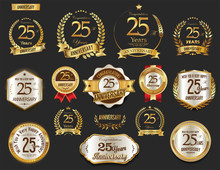Anniversary Golden Laurel Wreath And Badges 25 Years Vector Collection