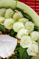 Close up of a green meal with red background