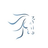 Fototapeta Konie - Vector silhouette of a horse's head