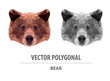 Vector polygonal bear head. Low poly illustration. Triangle color image.