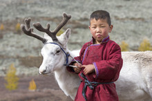 Tsaatan Boy, Dressed In A Traditional Deel With A Reindeer In A Northern Mongolia