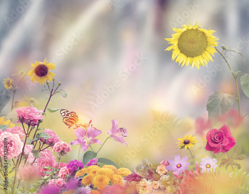 Beautiful Flower Garden