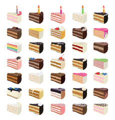 vector sweet cake slices