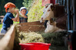 un bambino in una stalla nutre e gioca con mucche e tori