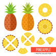 Pineapple. Whole pineapple, ananas and parts, leaves, slices, core. Set of fruits. Flat design graphic elements. Vector illustration