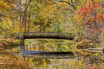 Colorful Fall Foliage Surrounds Bridge over C&O Canal