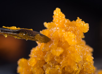 Cannabis concentrate live resin (extracted from medical marijuana) with a dabbing tool