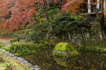 Poster - Japanese garden in autumn