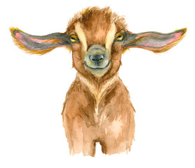 Watercolor Goat head