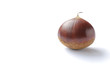 Japanese fresh chestnut isolated