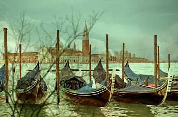 Abstract tree reflection blur with Venice as background (Italy)