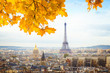 skyline of Paris city with eiffel tower from above at fall, France, toned