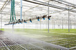 © pressmaster - Interior of modern hothouse with advanced system of irrigation and plant care