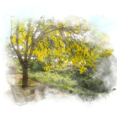 Wall Mural - golden shower flower watercolor painting.