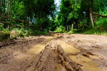 Dirt And Muddy Rural Road During A Jungle Trip Through Bamboo Forest In Village At Countryside After The Rain.
